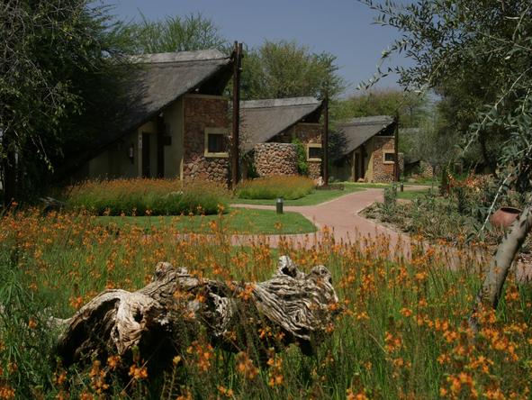 Tau Game Lodge - Lodge 